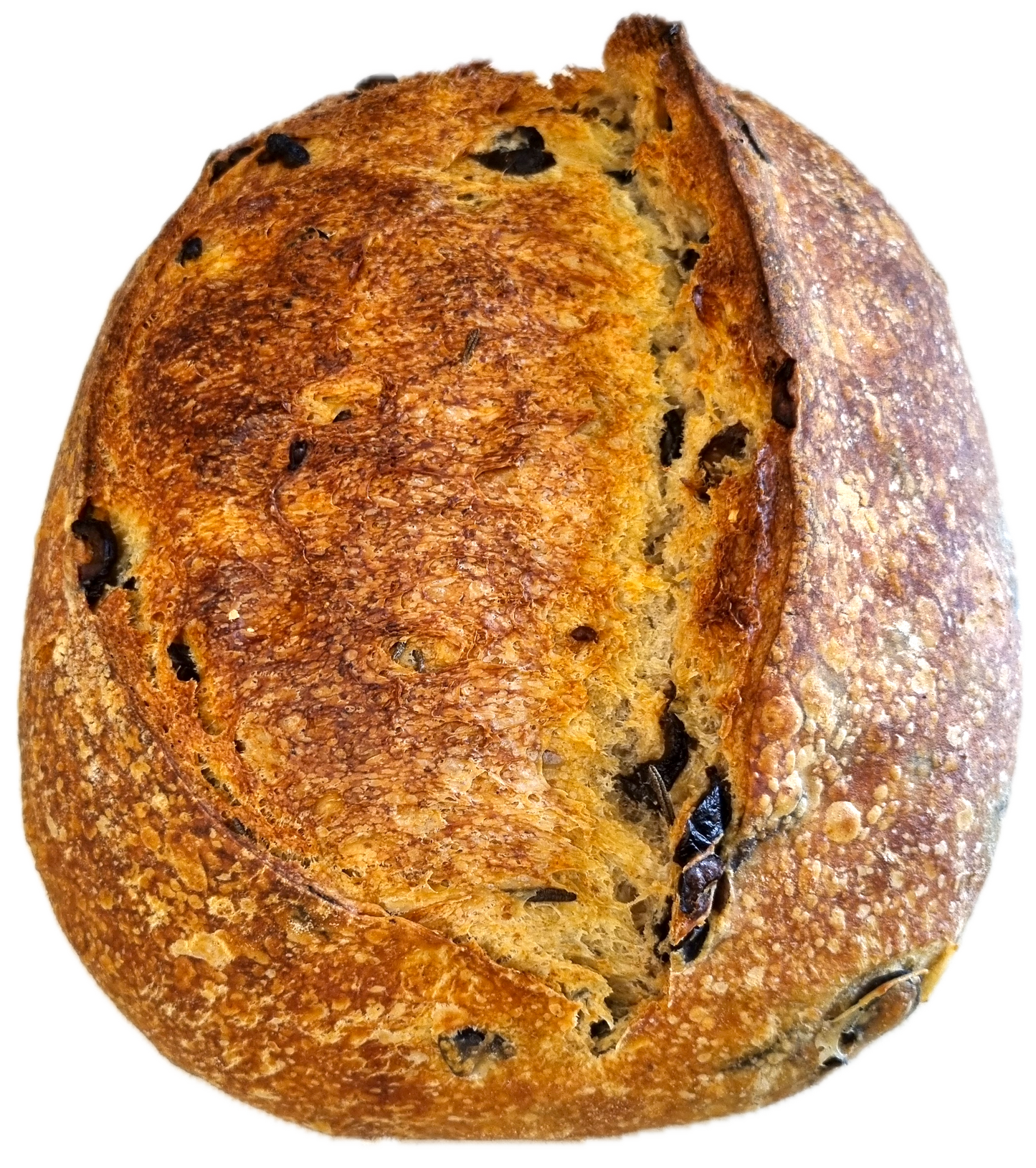 Olive & Rosemary Sourdough Bread - Five Loaves Sourdough Bakery