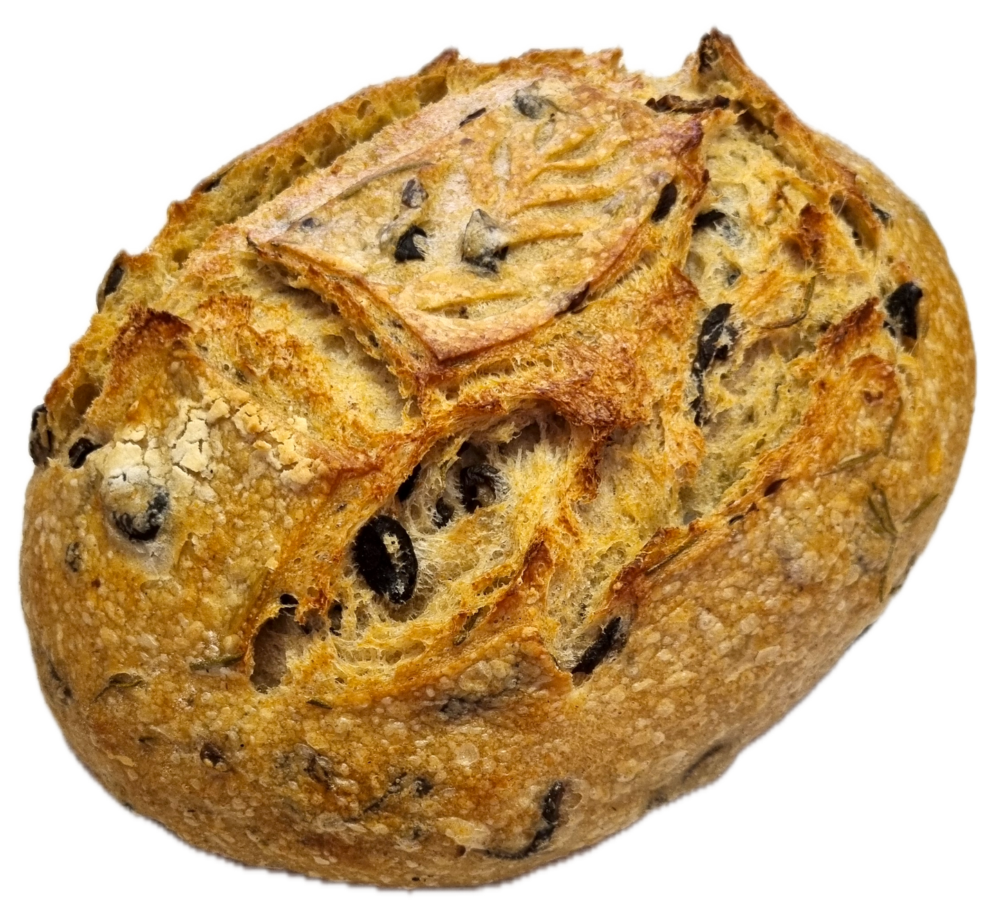 Olive & Rosemary Sourdough Bread - Five Loaves Sourdough Bakery