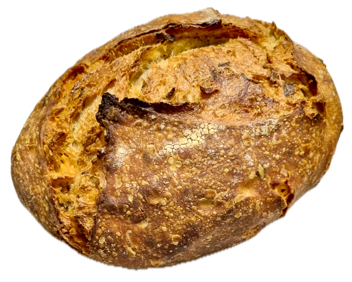Cheese & Spring Onion Sourdough Bread - Five Loaves Sourdough Bakery