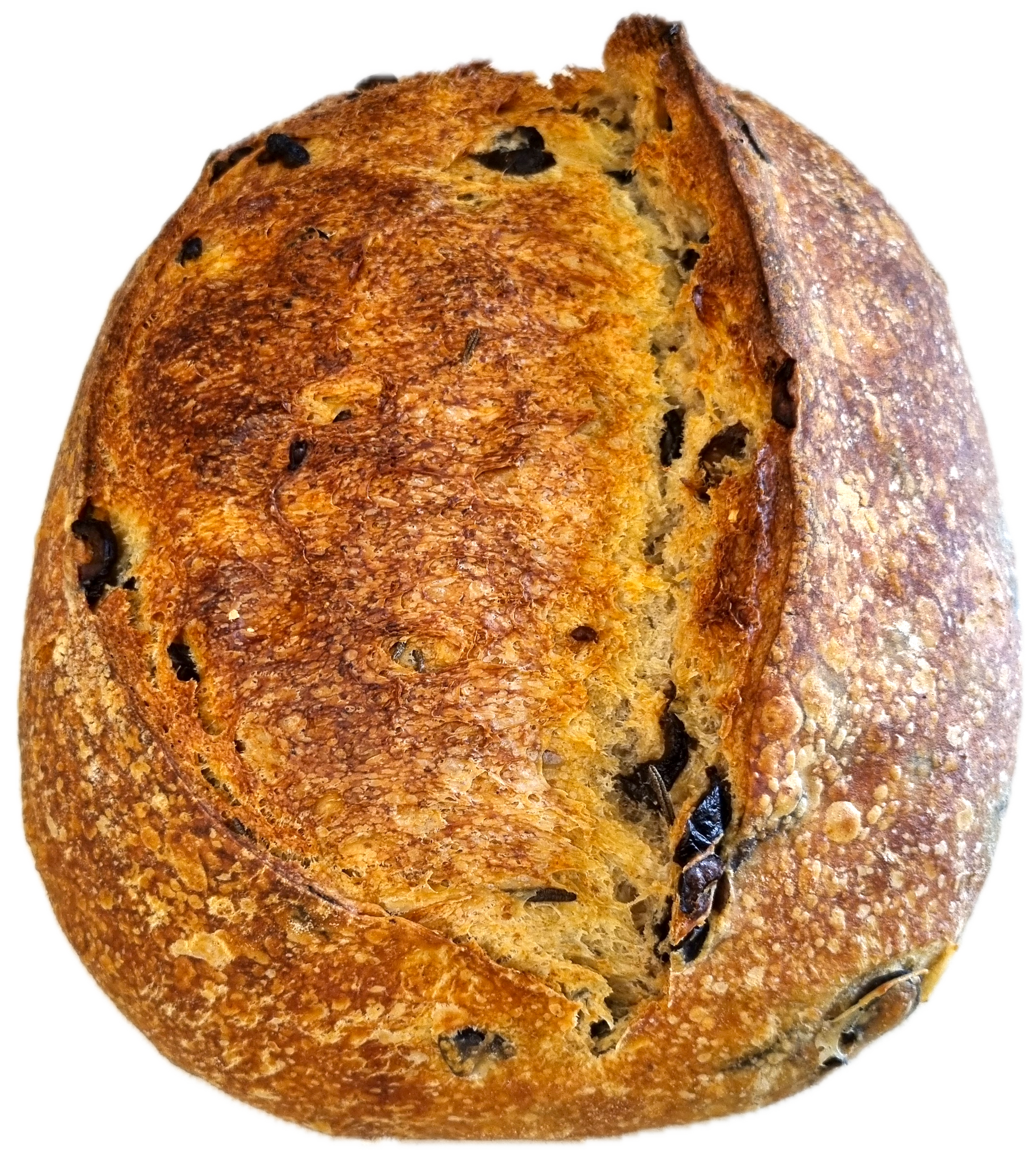 Olive & Rosemary Sourdough Bread - Five Loaves Sourdough Bakery
